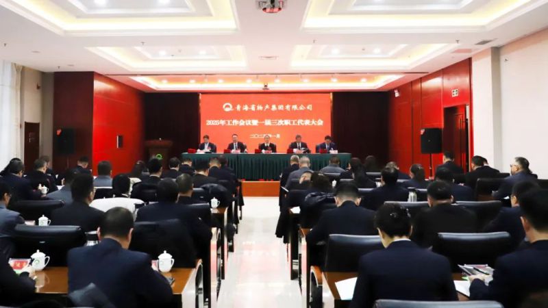 堅定信心促發展 實干爭先攀新高&mdash;&mdash;省物產集團2025年工作會議暨一屆三次職代會勝利召開